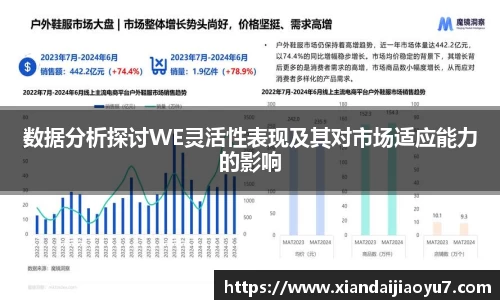 数据分析探讨WE灵活性表现及其对市场适应能力的影响
